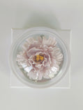 Ceramic Magique Rose Diffuser